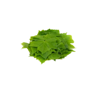 Αμπελόφυλλα