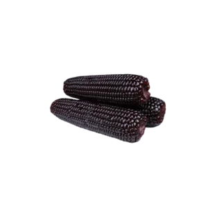 Καλαμπόκι μαύρο