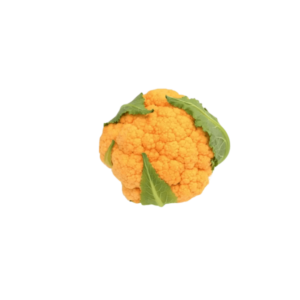 Κουνουπίδι πορτοκαλί