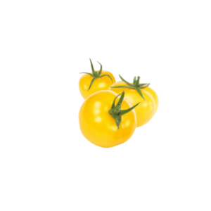Ντομάτα κίτρινη